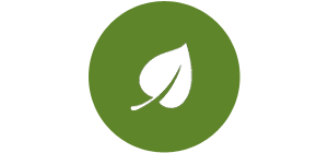 leaf icon background