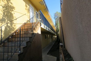 IMG_0705