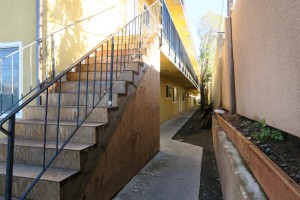 IMG_0708